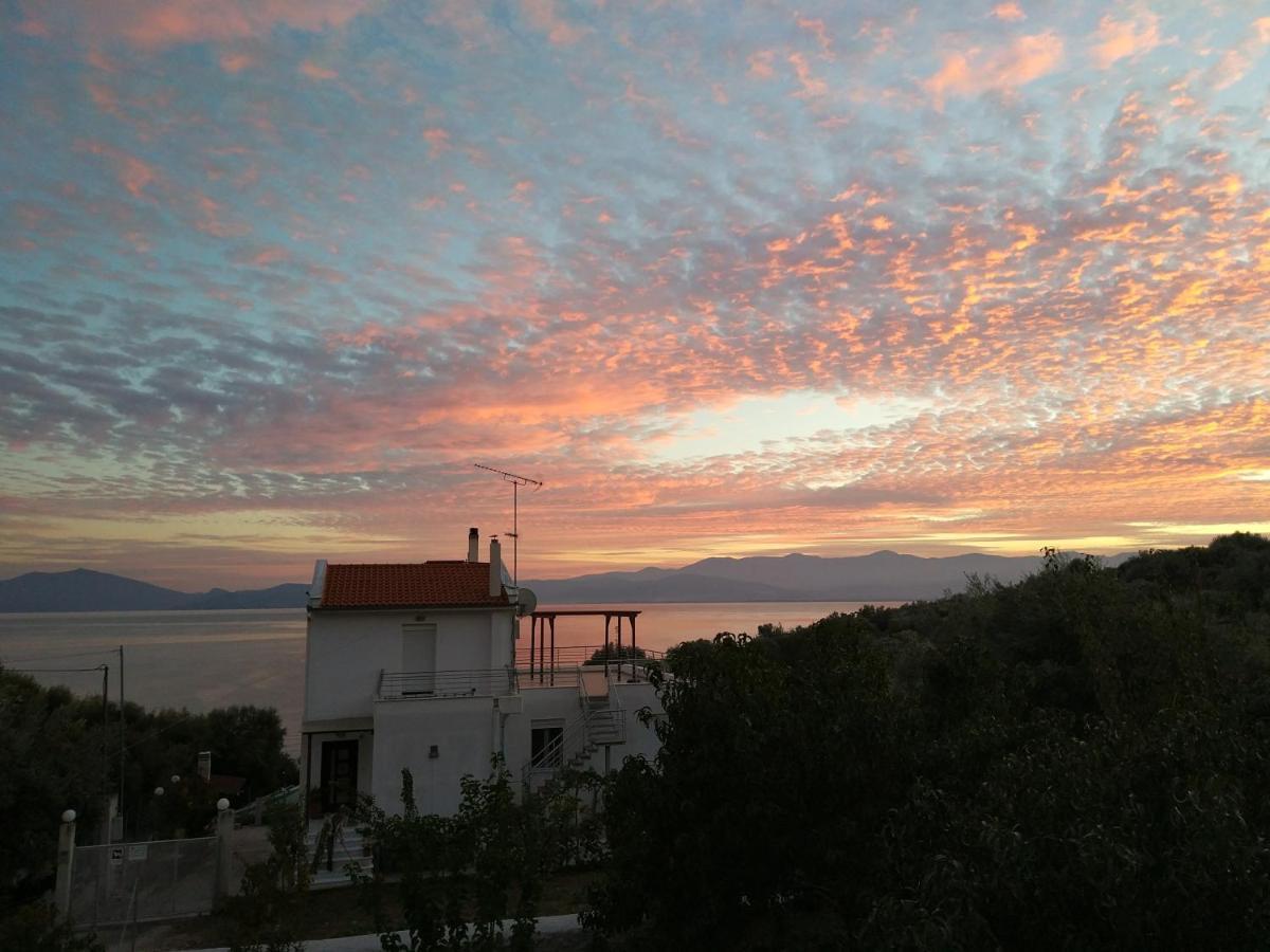 Seaside Boutique Villa Volos Luaran gambar