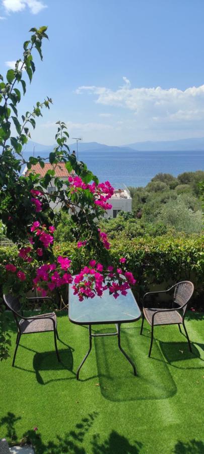 Seaside Boutique Villa Volos Luaran gambar